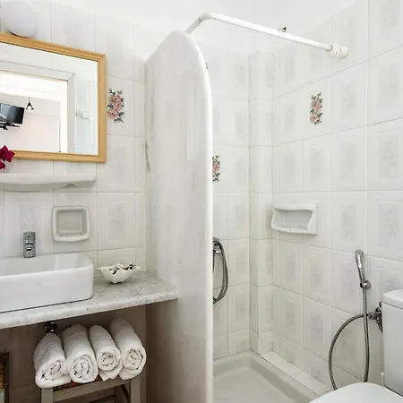 Zanneta's House Apartment Naousa (Paros)